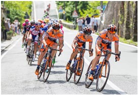 永久免费轰炸电话网页版